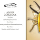 CHATLER ALOHA GORGEOUS 100ML Eua De Parfum